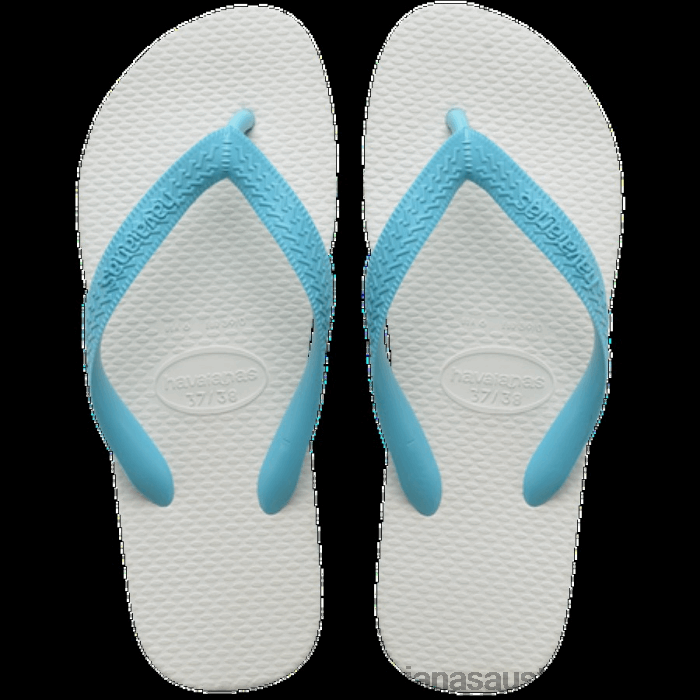 Tradicional Flip Flops BLUE